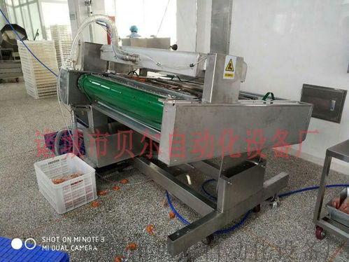 山東貝爾品牌休閑食品真空包裝機械，廠家直銷引領品質潮流
